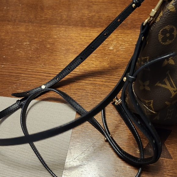 LOUIS VUITTON Palm Springs Mini Backpack - Picture 9 of 12